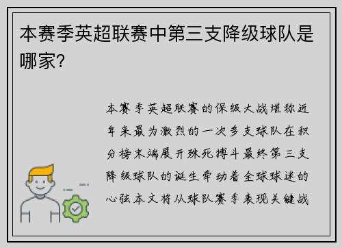本赛季英超联赛中第三支降级球队是哪家？